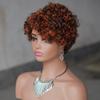 Put On & Go 180% Density Curly Pixie Cut Wig Short Bob Wig for Black Women Hair Wig Glueless None Lace Front Wig Layered Full Machine Made Wig (4/350#) view 2