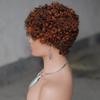 Put On & Go 180% Density Curly Pixie Cut Wig Short Bob Wig for Black Women Hair Wig Glueless None Lace Front Wig Layered Full Machine Made Wig (4/350#) view 3