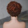 Put On & Go 180% Density Curly Pixie Cut Wig Short Bob Wig for Black Women Hair Wig Glueless None Lace Front Wig Layered Full Machine Made Wig (4/350#) view 4