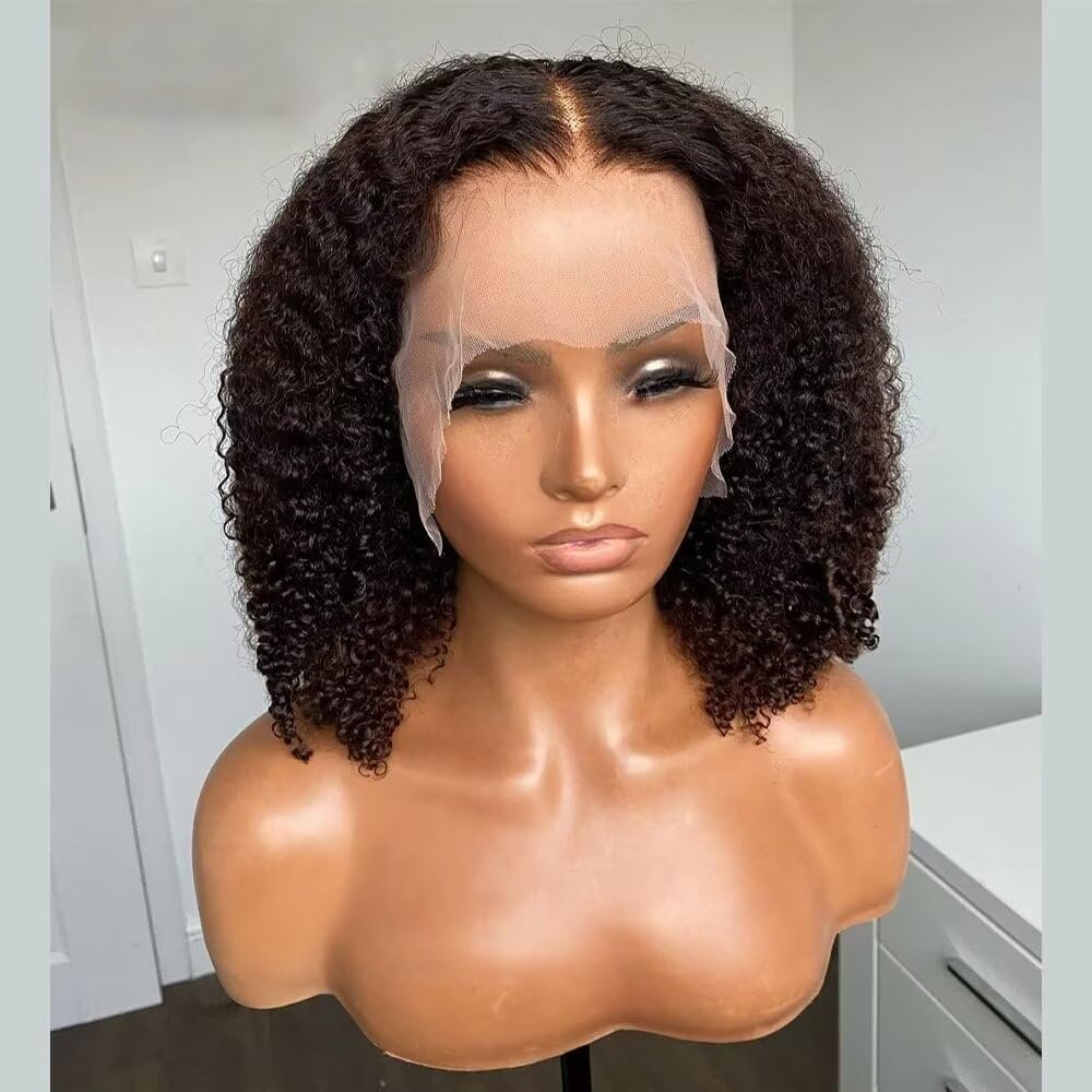 13x6 Curly Short Bob Wig HD Transparent Lace Front Human Hair Wig Natural Color Pre Plucked Glueless Wigs Brazilian Remy Hair Short Bob Human Hair Wig 150% Density with Baby Hair 10inch