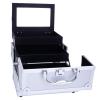 Professional Makeup Train Case Aluminum Makeup Box, Portable Cosmetic Box Jewelry Organizer with Mirror, 2 Trays Makeup Storage Organizer Travel Makeup Organizer Case Large Makeup Storage Box view 3