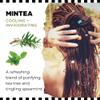 Dollylocks Conditioning Hair + Scalp Oil | Plant-Based, Vegan, Residue-Free | Moisturizing Relief Soothing Calming | Locs, Dreadlocks, Braids, Extensions | Tea Tree Spearmint | 4oz view 4