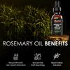 Follicle Booster Rosemary Oil Blend - Mint, Castor, Jojoba & Biotin added - Supports Hair Growth, Strengthens Follicles, Nourishes Scalp - For Adults & Teens - 3 Pack view 4