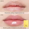 15ml Honey Lip Butter, Hydrating Overnight Lip Balm & Mask, Propolis 12hrs Long-lasting Moisture, Overnight Gentle Exfoliation, Hygienic Twist Dispenser(0.5 fl.oz view 2