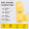 15ml Honey Lip Butter, Hydrating Overnight Lip Balm & Mask, Propolis 12hrs Long-lasting Moisture, Overnight Gentle Exfoliation, Hygienic Twist Dispenser(0.5 fl.oz view 3