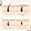Facial Depilatory Cream, Coconut Facial Hair Removal Cream for Upper Lip and Chin for Women, Womens Facial Hair Remover for Sensitive Skin, Gentle and Non-irritating(2PCS) view 4