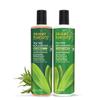 Desert Essence Tea Tree Replenishing Shampoo and Conditioner Bundle - 12.7 Fl Ounce - Therapeutic - Peppermint & Yucca - All Skin Types - Tea Tree Oil - Restore & Nurture Hair view 1
