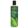 Desert Essence Tea Tree Replenishing Shampoo and Conditioner Bundle - 12.7 Fl Ounce - Therapeutic - Peppermint & Yucca - All Skin Types - Tea Tree Oil - Restore & Nurture Hair view 2