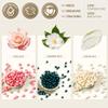 Lifestance L3 Digital Wax Warmer Hair Removal Kit + Jasmine & Cream & Rose Wax Beads view 4