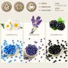 Lifestance L1 Wax Warmer Hair Removal Kit + Lavender & Chamomile & Blackberry Wax Beads view 4