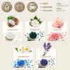 Lifestance Removable Silicone Wax Pot Liner Kit + Bikini & Underarm & Face & Body Wax Beads view 4