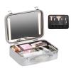 CKKNILV Makeup Bag Cosmetic Case Portable Travel Makeup Train Case Beauty Box, Make-up Case with Light and Mirror, Tricolour Light Source, Case Frame in Aluminium,for Cosmetics view 1