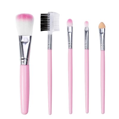 CTPCRTYK 5 Pack Multi Purpose Makeup Foundation Eyeshadow Eyeliner Lip Gloss Brush Set Small Angled Makeup Brush