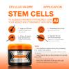 Liss Expert Professional Stem Cells Smoothing Treatment  Organic Keratin & Argan Oil  for Frizz-Free Repair & Shine  Professional Straightening(250 ml-Shoulder Length) view 4
