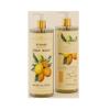 Alchimia Citrus Refleshing Body Wash 33.8 fl oz / 1000ml Made in Italy view 2