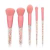 CTPCRTYK Makeup Brush Set Cosmetic Set Plastic Pcs Transparent Colored Handle Granule 5 Brush for Fine Hair view 2