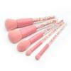 CTPCRTYK Makeup Brush Set Cosmetic Set Plastic Pcs Transparent Colored Handle Granule 5 Brush for Fine Hair view 3