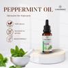 Oil 0.68 fl. oz - 100% Pure Oil - for Daily Use - Suitable for Travel - Aromatic Oil - Scented Essential Oil - Natural Oils for Bath and Steam Use (0.68 FL. OZ, Peppermint Oil) view 2