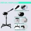 Professional Facial Steamer, Facial Steamer on Wheels with Timer Function, Ozone Face Steamer for Spa, Salon and at Home Use view 2