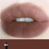 1 PC Beinidar Matte Lip Cream Lip Mud Liquid Lipstick Lip Cushion, Brown Nude Brick Colors Mud Lipstick With Cushion Head (DA04(black tube), 12g) view 2