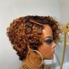 oulaer Ombre Brown Curly Human Hair Wig For Women 13x4 Invisible HD Lace Front Wigs Pre Plucked Kinky Curly Wigs For Women Brazilian Remy Hair Deep Wave Wig Bleached Knots 150% Density 10Inch view 3