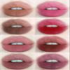 1 PC Beinidar Matte Lip Cream Lip Mud Liquid Lipstick Lip Cushion, Brown Nude Brick Colors Mud Lipstick With Cushion Head (BE02(pink tube), 12g) view 3