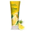 Desert Essence Lemon Tea Tree Shampoo & Conditioner Bundle - 8 Fl Ounce - Clarifying For Oily Hair - Essential Oils - Strengthen & Protect Hair - Effective Cleansing view 2