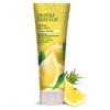Desert Essence Lemon Tea Tree Shampoo & Conditioner Bundle - 8 Fl Ounce - Clarifying For Oily Hair - Essential Oils - Strengthen & Protect Hair - Effective Cleansing view 3