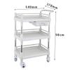 AKALNNB Movable Trolleys,Large 3 Shelf Beauty Trolley Spa Storage Cart on Wheels, Heavy Duty Rolling Trolley, Stainless Steel & Abs Plastic/with Drawer/L (with Drawer S) view 2