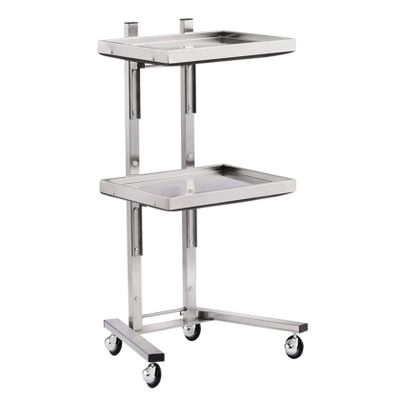 AKALNNB Beauty Cart Rolling Tool Trolley Cart, 2 Tier Storage Tray, Salon Trolley Cart for Beauty Hair Salon Tattoo Spa Clinic Studio Home,Gold (Silver)