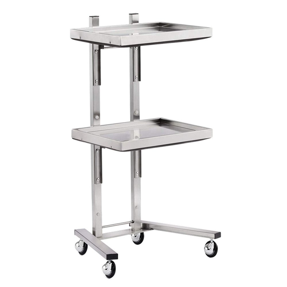 AKALNNB Beauty Cart Rolling Tool Trolley Cart, 2 Tier Storage Tray, Salon Trolley Cart for Beauty Hair Salon Tattoo Spa Clinic Studio Home,Gold (Silver)
