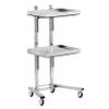 AKALNNB Beauty Cart Rolling Tool Trolley Cart, 2 Tier Storage Tray, Salon Trolley Cart for Beauty Hair Salon Tattoo Spa Clinic Studio Home,Gold (Silver) view 1