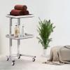 AKALNNB Beauty Cart Rolling Tool Trolley Cart, 2 Tier Storage Tray, Salon Trolley Cart for Beauty Hair Salon Tattoo Spa Clinic Studio Home,Gold (Silver) view 3
