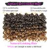 10 Inch Pre Looped Crochet Hair for Black Women - Gogo Curl/Beach Curl/Ocean/Water/Deep Wave Crochet Hair 8 Packs, Synthetic Hair Tangle-Free Natural Look Curly Hair Extensions (1B/27) view 2