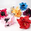 10PCS Hawaiian Flower Hair Clips - Hibiscus & Plumeria Designs, Bobby Pins for Women & Girls view 1