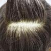 Toupee for Men Hair Piece Fine Mono Mens Toupee Poly Coating All Around Men Hair Systems Human Hairpiece Mono+NPU Hair Unit for Men Medium Density7X10"-120% density#330 Dark Brown+30% Gray view 3