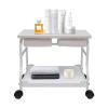 Pedicure Foot Rest Trolley, Salon Standing Trolley Beauty Salon Cart with 4 Wheels, Portable Foot Trolleys for Pedicure Manicure, 39.7lbs Load Capacity view 1