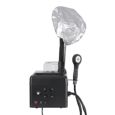 Salon Hair Steamer, Professional Micro Mist Hair Steamer with Nano Spray Guns and Evaporation Caps, Multi-Function Steamer for Baking Oil Perming Hair Coloring and Scalp Treatment