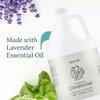 Amenie Lavender Mint Conditioner - Case of 4 Gallons, Deep Conditioning & Hydrating, Paraben-Free & Vegan, For Smooth, Silky Hair view 3