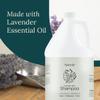 Amenie Lavender Mint Shampoo - Case of 4 Gallons, Rejuvenating Spa-Worthy Elixir with Organic Olive Oil & Aloe Vera, Paraben-Free & Vegan, For Soft, Vibrant Hair view 3