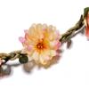 ArrErr 3 Pack Flower Crown Wreath Headband Flower Girl Headpiece Floral Hair Bands Spring Summer Hair Accessories for Princess Teen Girls Wedding Birthday Party Cosplay Bridesmaid Bride Photo Props view 3