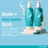 Biotin Rice Water Shampoo and Conditioner Set - Sulfate-Free Formula  Dual Bottle - Made with Collagen, Keratin, and Jojoba to Promote Strength, Shine, and Growth 16 Fl Oz 2 PK view 2