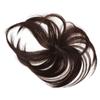 NOLITOY 2pcs Hair Piece Seamless Clip Wig for Women Realistic Hair Replacement Piece Deep Brown for Quick Hairstyle Changes and Blending Face Shape view 1