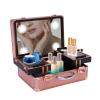 Bitodd Makeup Train Case, Portable LED Cosmetic Case, Travel Cosmetic Case, Large Makeup Artist Organizer Bag Suitable for Storing Cosmetics and Skincare Products, (with Light, Champagne Gold) view 2