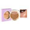 Polarizing Highlight Powder for Brightening, Setting Makeup, Contouring, Solid Nose Shadow (6, 33g) view 1