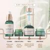 Biossance Plump and Hydrate Skincare Set - Amino Aloe Gentle Foaming Cleanser, Marine Algae Eye Cream, Copper Peptide Rapid Plumping Serum & Omega Moisturizer For Face Lock In Hydration For Your Skin view 3