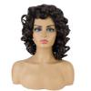 andromeda Brown Curly Wigs for Black Women Soft Afro Kinky Curly Wig with Bangs Loose Cute Curly Heat Resistant Natural Looking Synthetic Wig for Women(Brown/4#) view 2