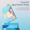Ariul True AC Spot Cover After Care Patch, invisible patch, Hydrocolloid Acne Pimple Patches for Covering Zits and Blemishes (Niacinamide+Tea Tree Leaf Oil)10mm*60 Counts+12mm*50 Counts, 110 Counts view 2