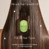 Beauty Glow Batana Oil Dr. Sebi & Dr. Truth Approved Organic Rosemary Oil from Honduras Moisturizing for Dry Damaged Hair Noruishes Hydrates Ancient Miracle Hair Moisturizer for Men & Women USA Made view 3