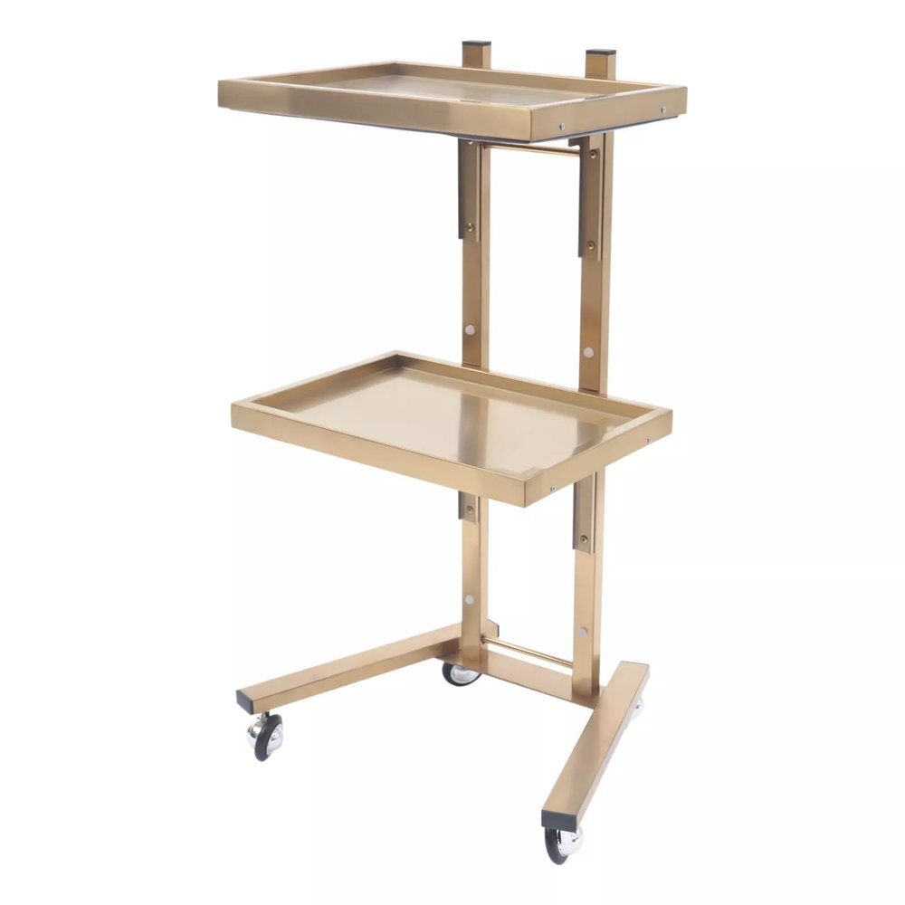 Mixizap Rolling Tool Cart, Stainless Steel Tool Tray Rack, Foldable Tray Trolley with Double Layer Storage Tray for Beauty Salon Tattoo Spa Clinic Medical Studio (Gold)